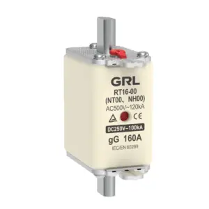 NH100 160A DC Fuse