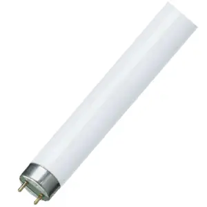 Fluorescent tube T8