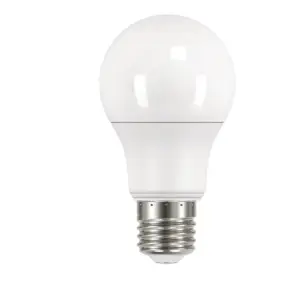 LED A60 Lamp E27 With Daynight Sensor