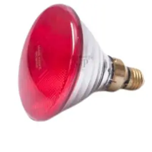 230V AC Infrared Lamp 175W E27