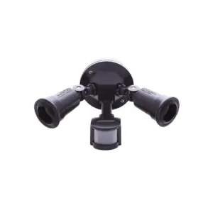 OL65 Infrared Security Light
