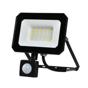 30W CW Sensor Floodlight F507