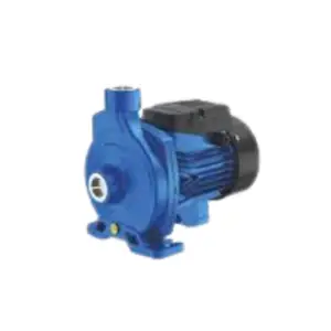 0.75kW 220V AC Centrifugal Clean Water Pump