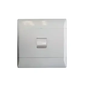 CBI Stove Isolator 60A 2P 4X4 PVC White